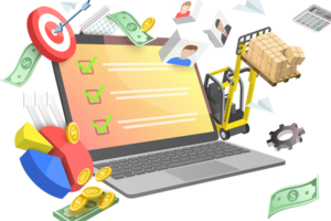 Custom ERP Development Services
